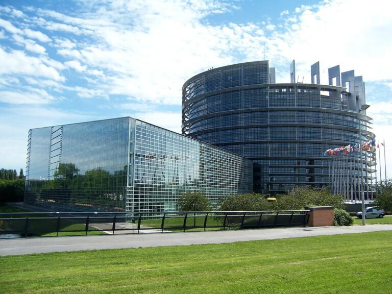 EU-Parlamentet Social Zense